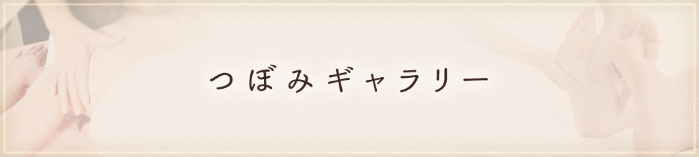 つぼみギャラリー